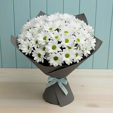 Букет цветов из:  Хризантемы в Каясуле