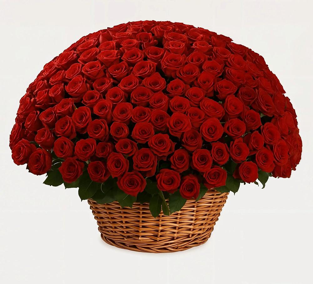 Премиум букет из: Розы в Каясуле