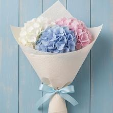 Букет цветов из:  Гортензия в Каясуле