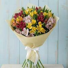 Букет цветов из:  Альстромерии в Каясуле