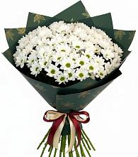 Букет цветов из:  Хризантемы #REPLACE_PRED# Каясуле