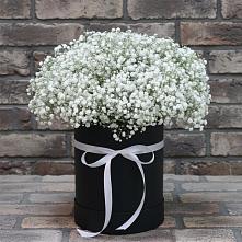 Цветочная композиция из Гипсофила в шляпной коробке в Каясуле