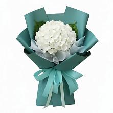Букет цветов из:  Гортензия в Каясуле